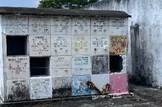 Entre nichos rotos y estructuras dañadas: denuncian grave deterioro en el panteón municipal de Veracruz 