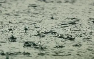 PC prevé aumento en potencial de lluvias y tormentas para Veracruz; conoce cuándo 