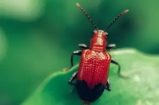 Tecnociencia