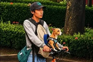 Ciclista y su perrita 'Capuchina' mueren juntos en accidente 