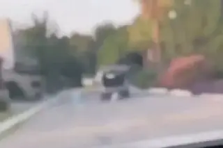 Esto es lo último que se sabe sobre 'Rocky', perrito que murió arrastrado por su dueña (VIDEO)