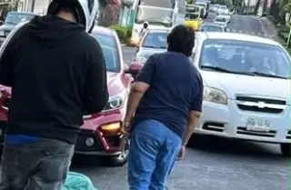 Muere ciclista y su perrita en trágico accidente en Xalapa, Veracruz; esto se sabe 