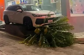 ¿Cómo acabó ahí? Choca contra palmera en estacionamiento en Mariano Escobedo, Veracruz
