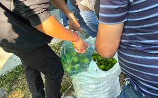 ¿Te gustan los higos? Y pensar que productores de Veracruz lo dan a 15 pesos ¿Dónde?