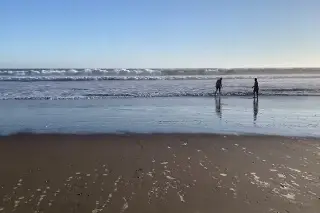 Alertan de bacteria 'Vibrio vulnificus'. Piden tomar precaución al ingresar al mar 