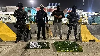 Aseguran más de 4 toneladas de cocaína y desmantelan laboratorio; hay 16 detenidos (+Video)
