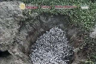 Recuperan más de 5 mil huevos de tortuga golfina tras intento de saqueo en Oaxaca