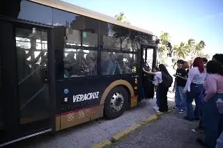 ¿Qué descubrieron decenas de turistas en el Centro Histórico de Veracruz?