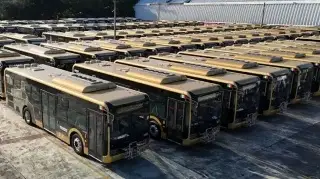 Rocío Nahle confirma expansión del transporte urbano y analiza nuevas rutas para Veracruz