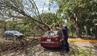 Tormenta sorprende a Poza Rica, Veracruz; estos fueron los daños