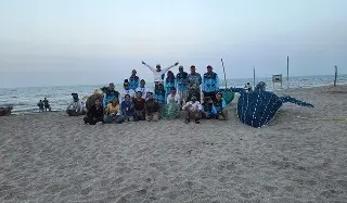 Liberan miles de tortugas en playas al norte de Veracruz