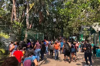 Cerrarán zoológico de Veracruz; conoce cuándo 