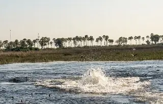 Recorrido turístico pasó de la calma al peligro en segundos (+Video)