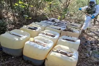 Aseguran narcolaboratorios y áreas de concentración de sustancias para drogas