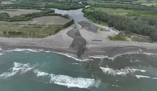 Revelan posible causa de muerte de peces en Veracruz