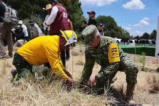 Sheinbaum decreta jornada nacional de reforestación cada segundo domingo de agosto
