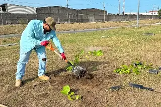 Planta árboles: trabajador de la construcción usas sus descansos para reforestar en Veracruz