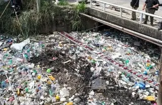 Retiran basura que obstruía arroyo al sur de Veracruz 