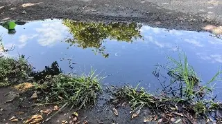 Fuga de agua potable lleva más de tres meses sin ser atendida en Veracruz 