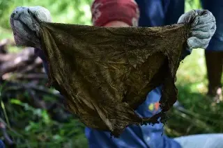 Revelan que Veracruz ocultó datos de fosas clandestinas y cuerpos exhumados