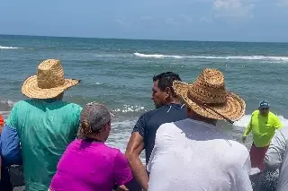 De la mortandad de peces a la abundancia de robalo en Veracruz ¿Qué pasó? (+Video)