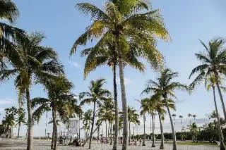 Miami alcanza récord de temperatura máxima en su historia, ¿De cuánto fue? 