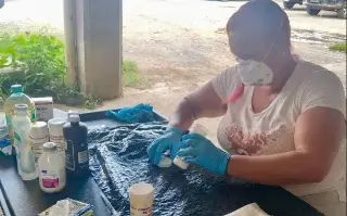 Detectan foco de gusano barrenador en gatos abandonados en Cazones, Veracruz 