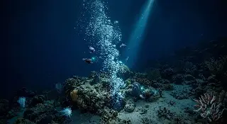 Joven de 20 años muere mientras practicaba buceo a pulmón 