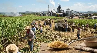 Lo que no imaginas que hay detrás de una cucharada de azúcar producida en Veracruz