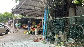 veracruz