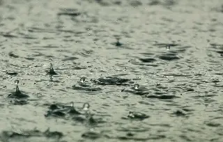 A sacar el paraguas; prevén lluvias en Veracruz - Boca del Río 