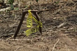 Veracruz, entre los estados con más fosas clandestinas, revela investigación