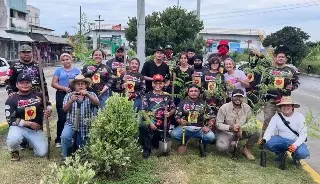 Plantan 200 árboles en Veracruz para combatir el calor