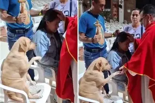 Conmueve perrito al 'participar' en oración (+Video)