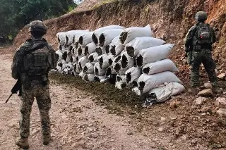 Más de mil kilos de droga aseguradas en operativo de Sinaloa