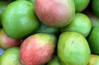 Retiran mangos por posible contaminación con salmonela