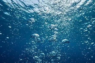 ¿Jurarías amor eterno bajo el agua? Ellos así se atrevieron (+Video)