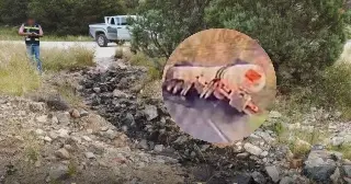 Emergencia en Sonora por volcadura con químico extremadamente peligroso (VIDEO)
