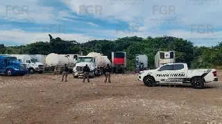 Asegura FGR más de 50 vehículos y tráileres con reporte de robo en Veracruz