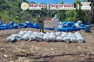 Aseguran más de 16 toneladas de metanfetamina y desmantelan narcolaboratorio
