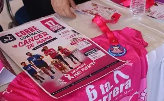 El malecón de Veracruz se pintará de rosa; hasta las mascotas también 