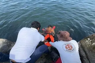 Ingresó al mar y terminó donde no lo contemplaba, en Veracruz