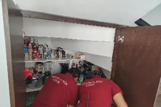 ¡Como que abres la alacena y te encuentras con esto! Precaución