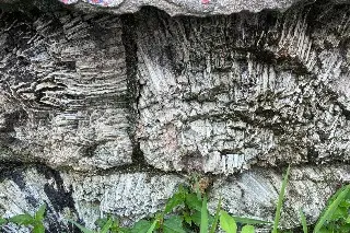 ¿Dónde está? A la vista de todos parte de la antigua muralla de Veracruz (FOTOS)