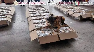 Unidad canina del AICM olfateó cargamento de café y esto detectó 