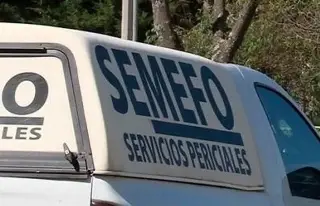 Hallan a hombre muerto en Arboledas San Ramón, ¿Qué pasó? 