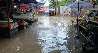 Rayo derriba árbol y causa daños a casas en Álamo, Veracruz