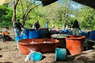 Desmantelan 4 narcolaboratorios en Michoacán y Guerrero; aseguran más de 10 toneladas de químicos