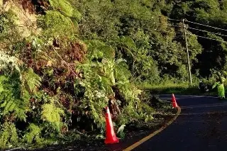 Derrumbe afecta circulación en carretera Orizaba-Zongolica ¿Habilitaron carril?