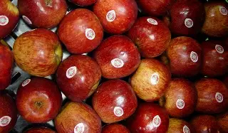 ¿De dónde viene la manzana que comes? Este estado concentra más del 80% de la producción